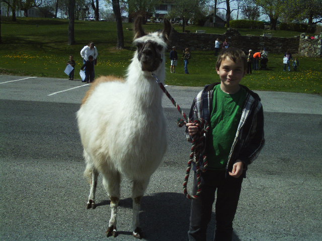 Country Quilt Llama Farm